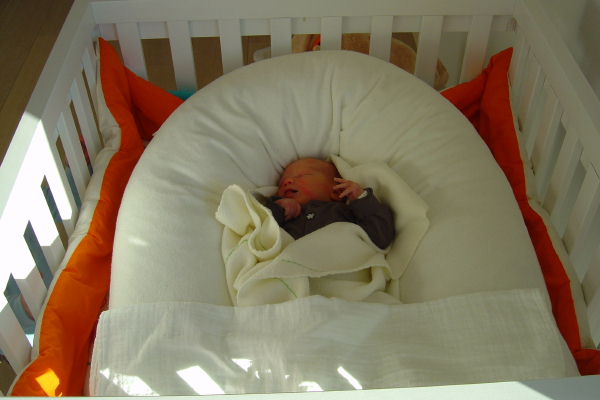 Image 21 of 56  -  38 kB